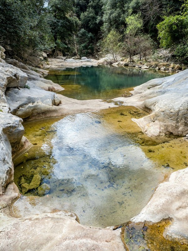 Active life: les meilleurs conseils en nutrition et suppléments